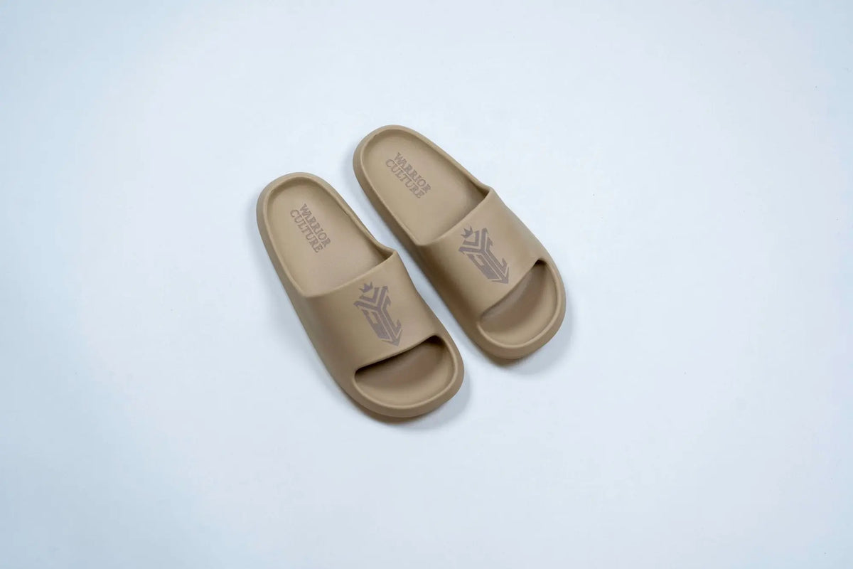 Frontier Recovery Sliders in Beige, pair